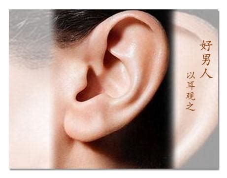 男人耳朵形状与命运图解_耳朵形状与命运图解耳轮突出,第23张